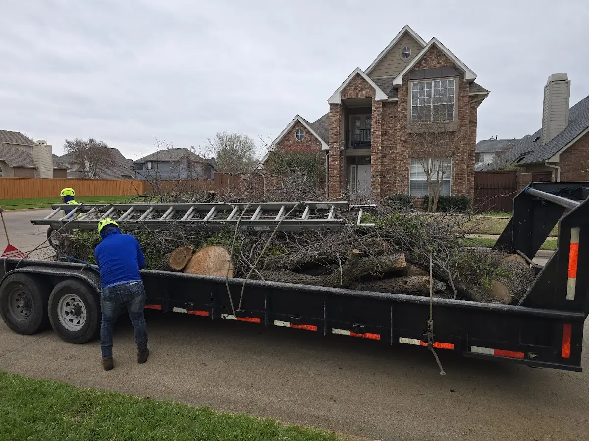 Expert Tree Fertilization with proper safety equipment in Wake Forest